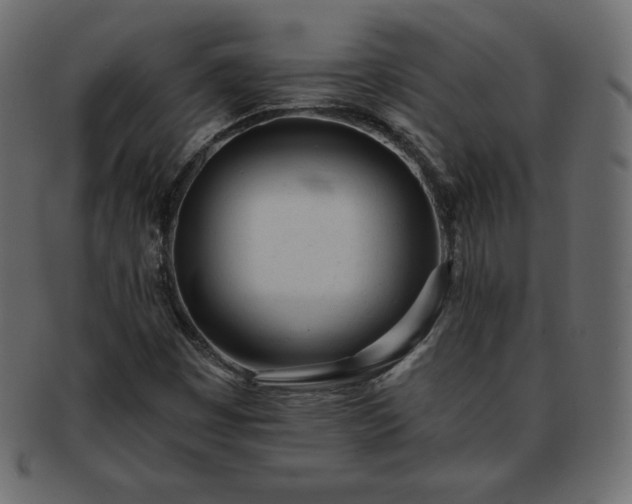 X0000093361449200710191048