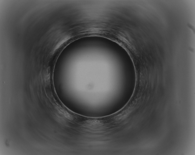 X0000093361450200710191048