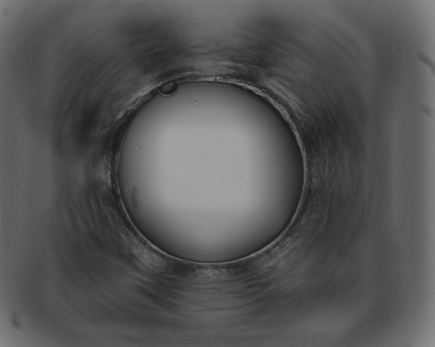 X0000093361451200710191048