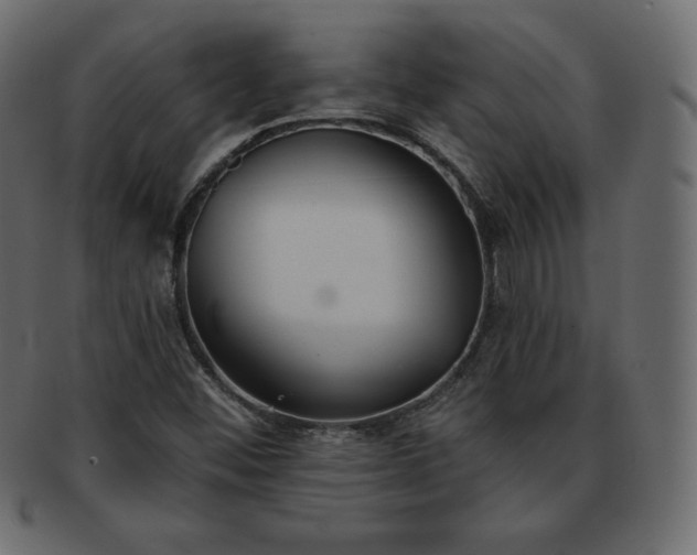 X0000093361452200710191048