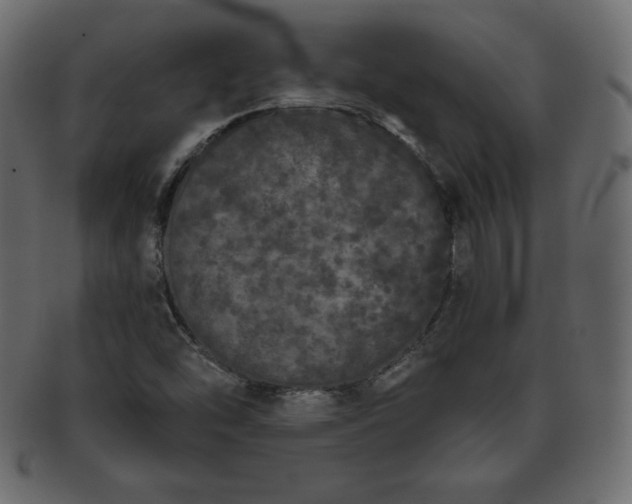X0000093361454200710191048