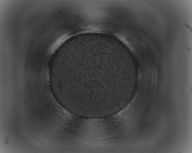X0000093361455200710191048