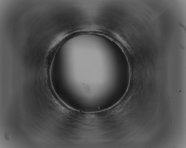 X0000093361456200710191048