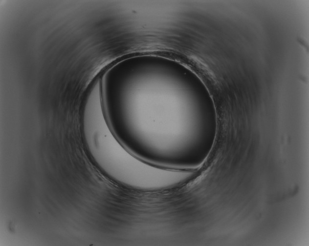 X0000093361457200710191048