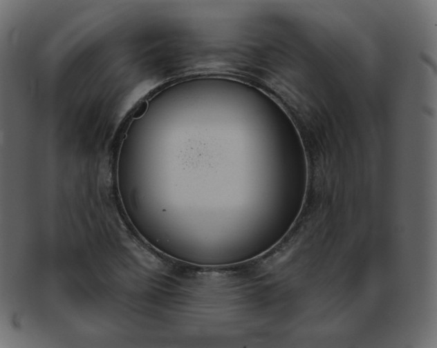 X0000093361458200710191048