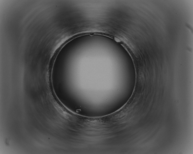 X0000093361460200710191048