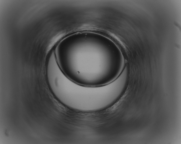X0000093361461200710191048