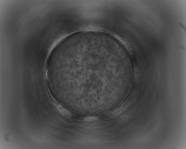 X0000093361462200710191048