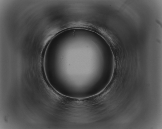 X0000093361463200710191048