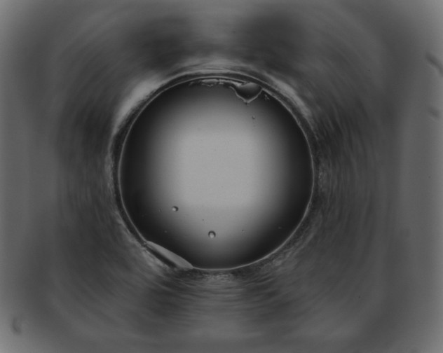 X0000093361464200710191048