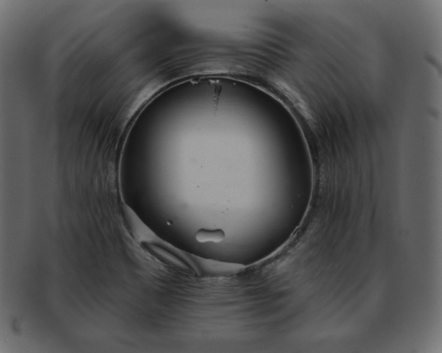 X0000093361465200710191048