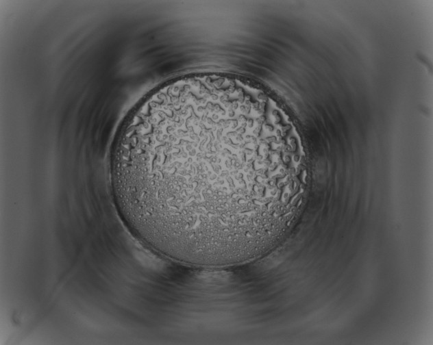 X0000093361466200710191048