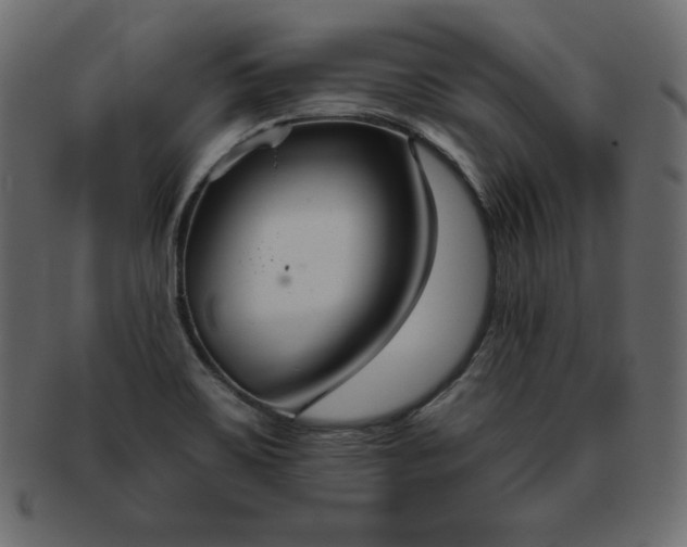 X0000093361467200710191047