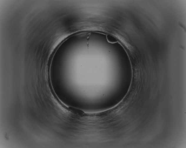 X0000093361468200710191047