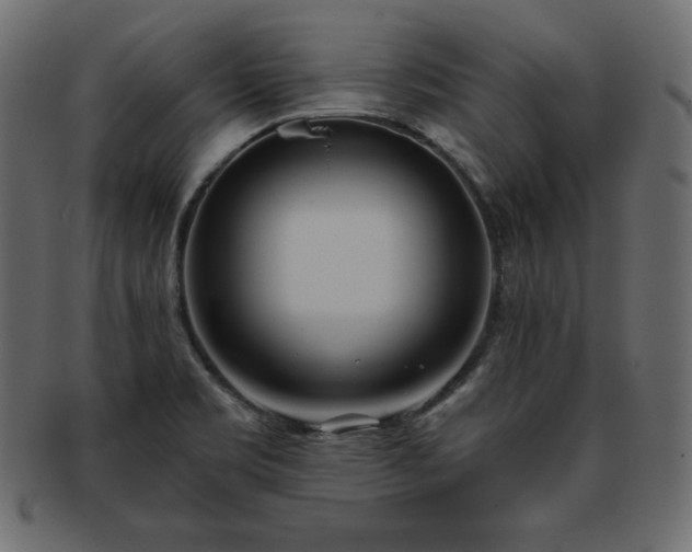 X0000093361469200710191047