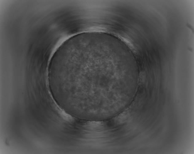 X0000093361470200710191047