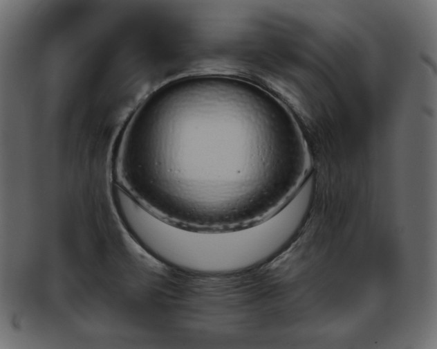 X0000093361471200710191047