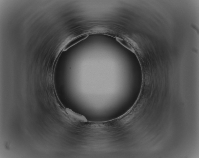 X0000093361473200710191047