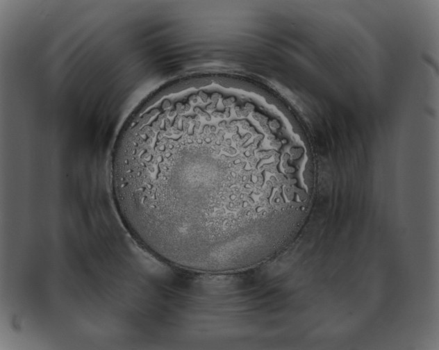 X0000093361474200710191047