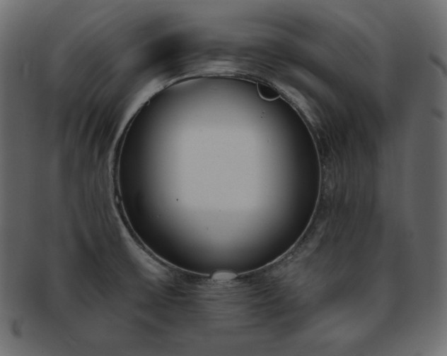 X0000093361475200710191047