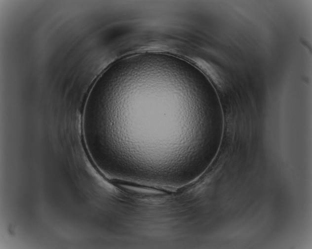 X0000093361476200710191047
