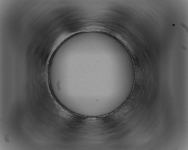 X0000093361478200710191047