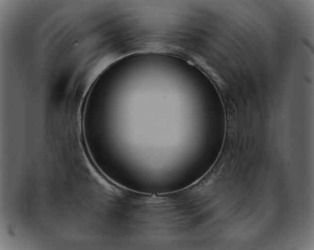X0000093361479200710191047