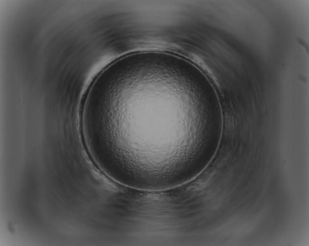 X0000093361480200710191047