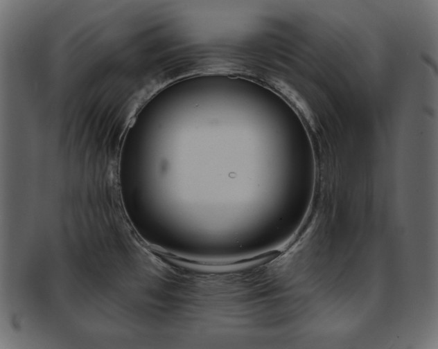 X0000093361481200710191047