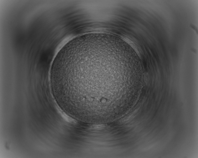 X0000093361482200710191047