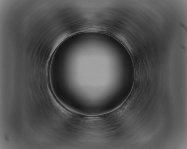 X0000093361483200710191047
