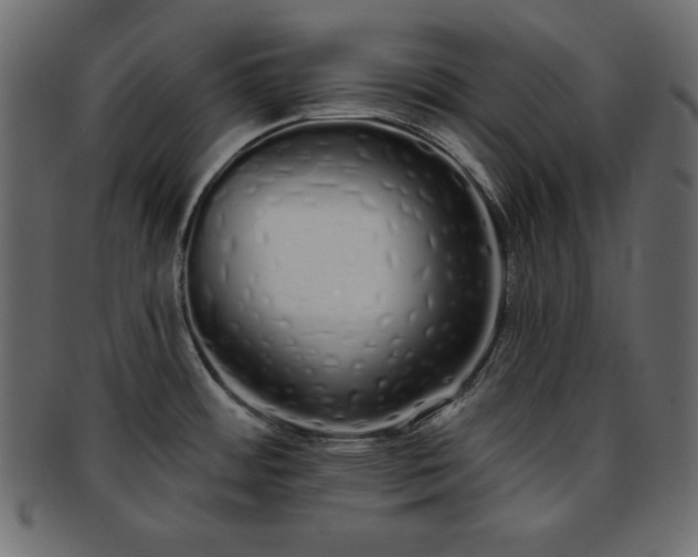 X0000093361484200710191047