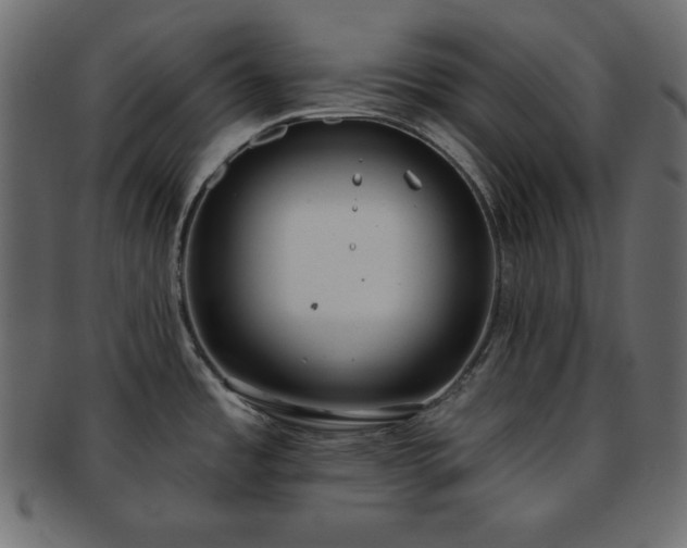 X0000093361485200710191047