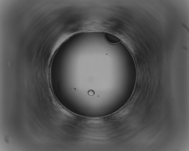 X0000093361486200710191047