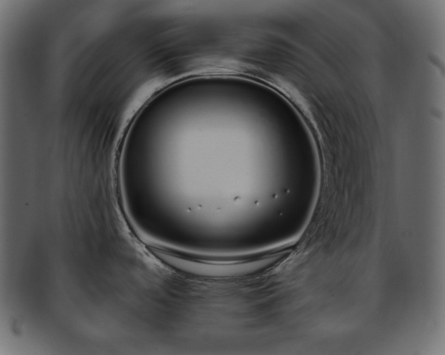X0000093361488200710191047