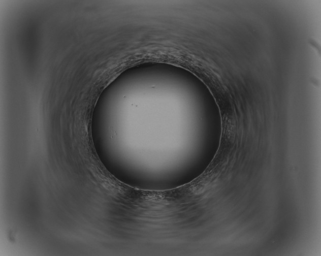 X0000093361489200710191047