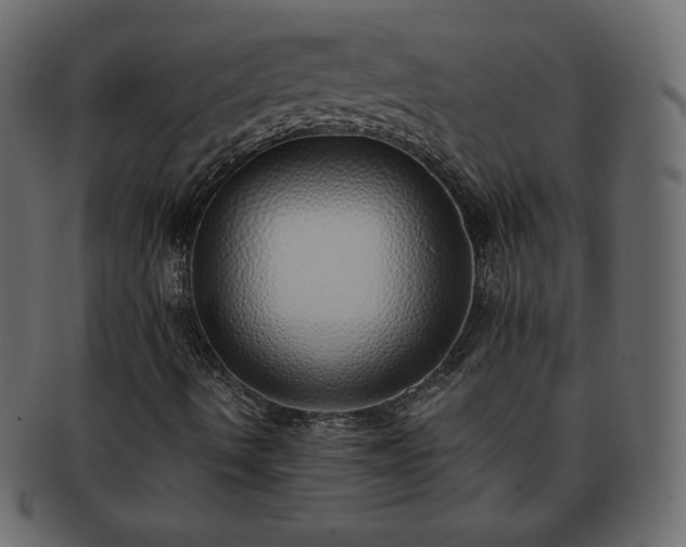 X0000093361490200710191047