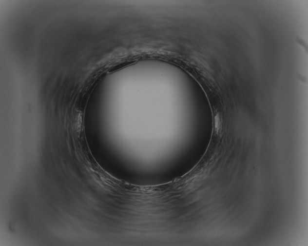 X0000093361492200710191047