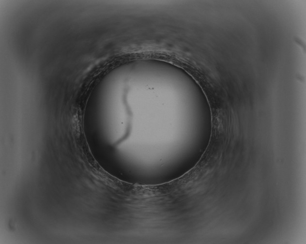 X0000093361493200710191047