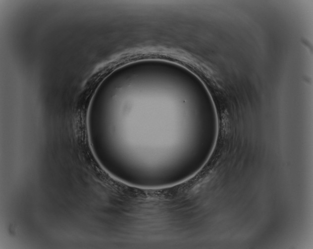 X0000093361494200710191047