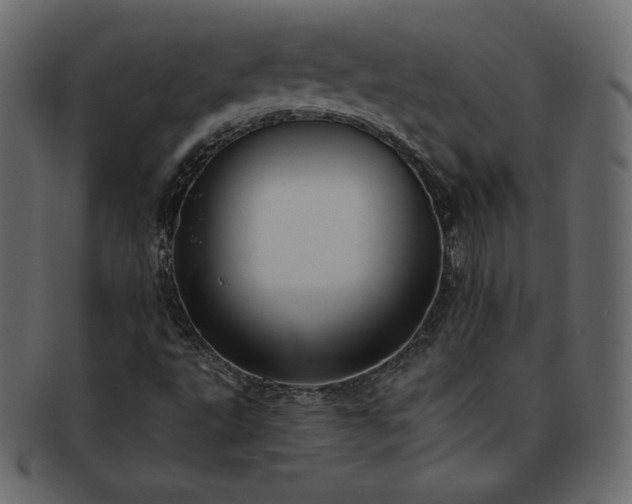 X0000093361495200710191047