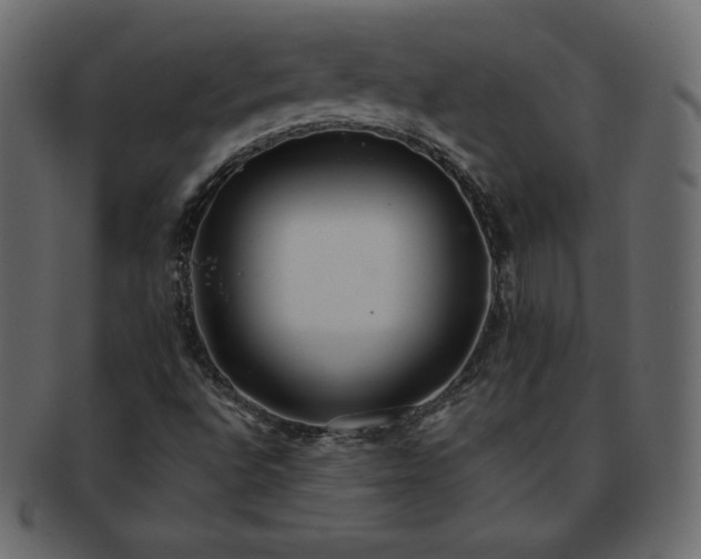 X0000093361496200710191047