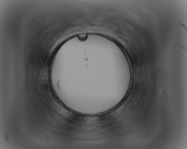 X0000093361498200710191047
