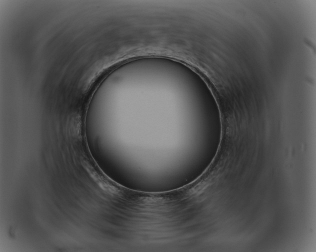 X0000093361499200710191047