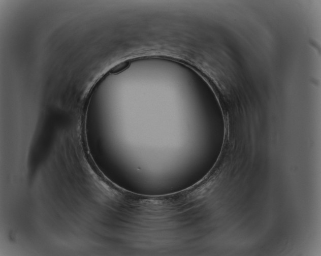 X0000093361500200710191047