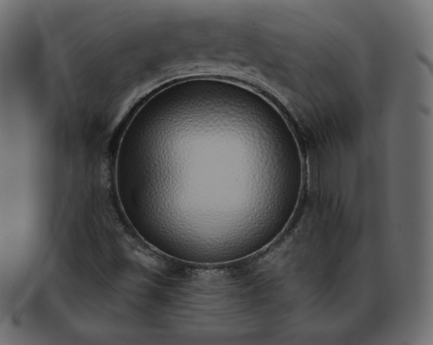 X0000093361501200710191047