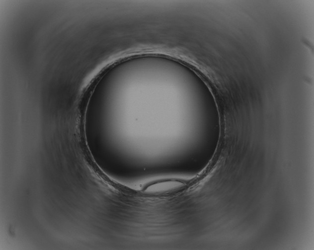 X0000093361502200710191047