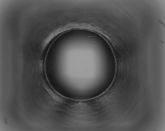 X0000093361503200710191047