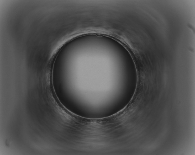 X0000093361504200710191047
