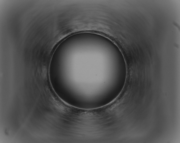 X0000093361505200710191047